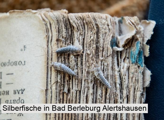 Silberfische in Bad Berleburg Alertshausen